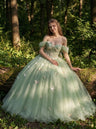 Enchanted Butterfly Ball Gown