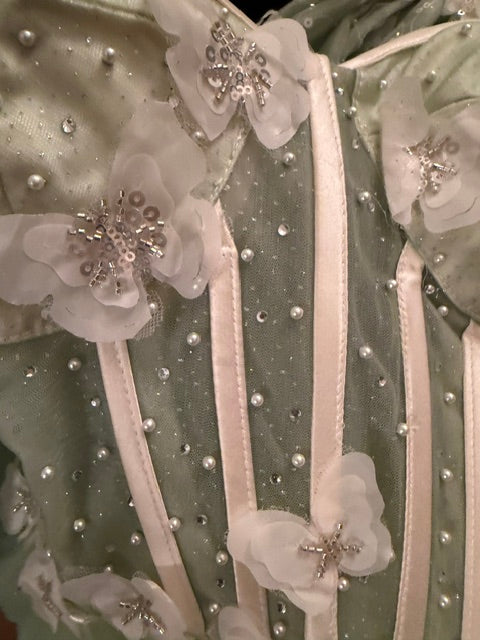 Enchanted Butterfly Ball Gown