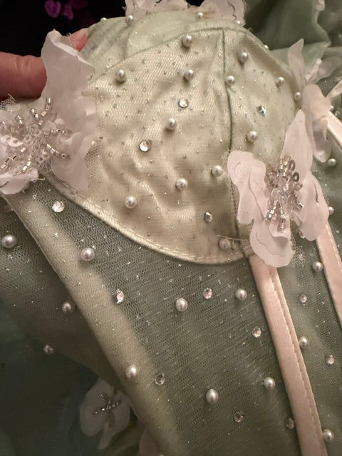 Enchanted Butterfly Ball Gown